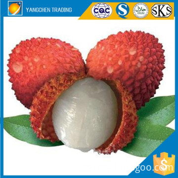 Fresh fruit of canned lychee in preserved fruit with HACCP certified